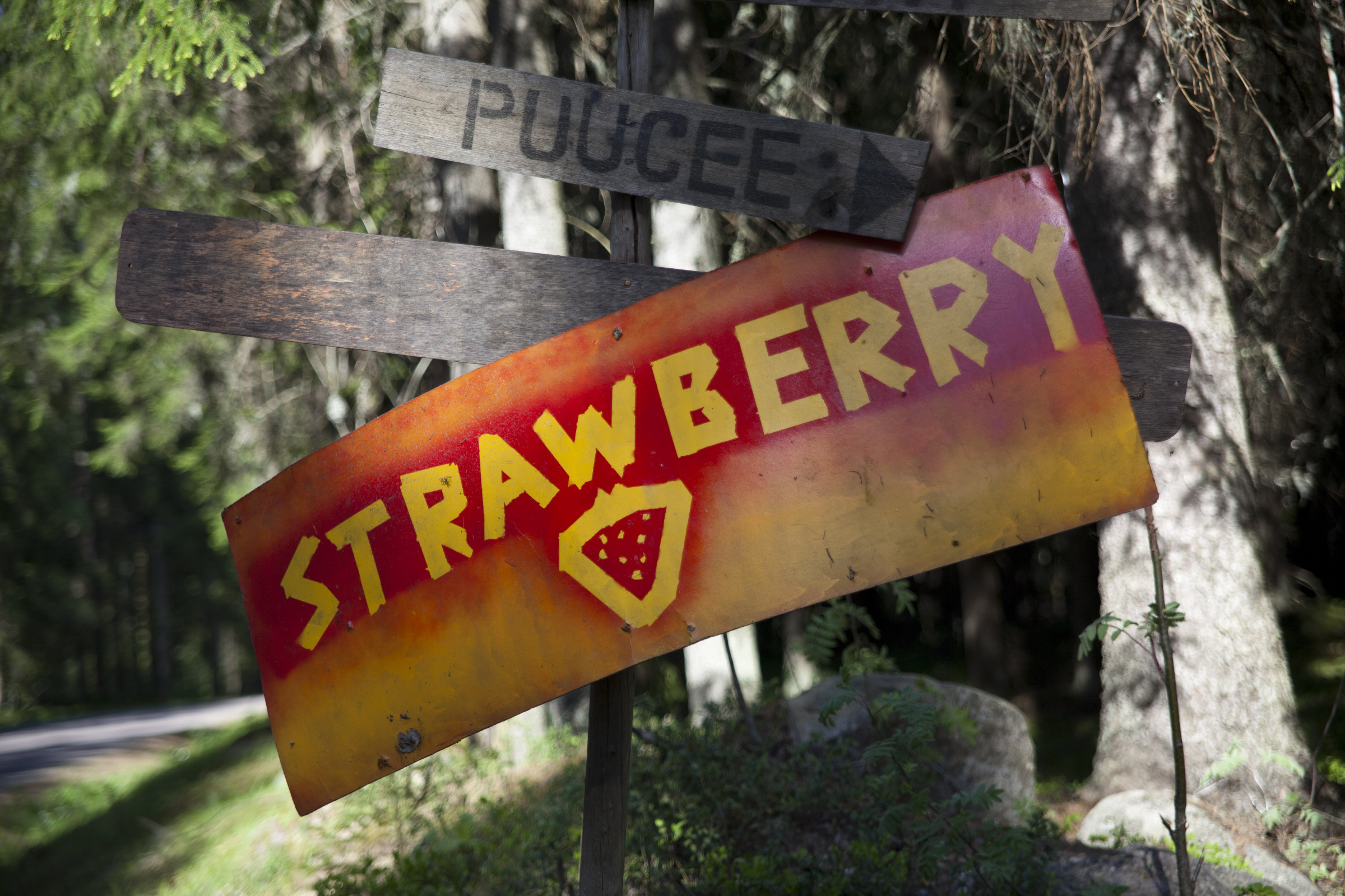 Strawberry Hills 26.5.2012